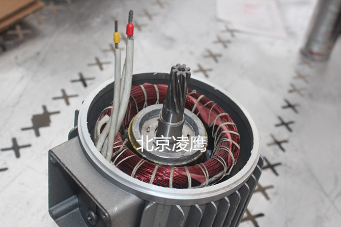 電機內(nèi)部圖